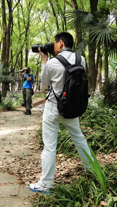 dsc02166_neo_img.jpg