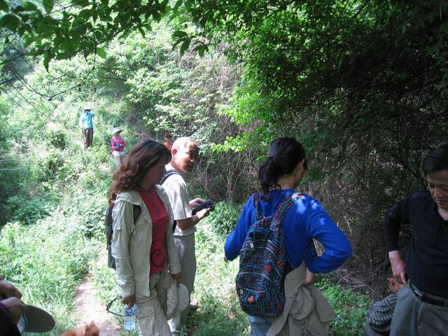 С Ƭ 097.jpg