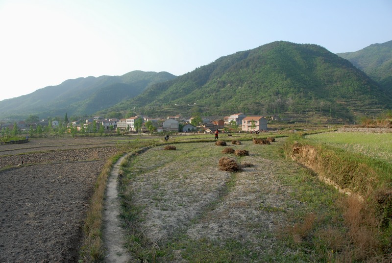 dsc_0165.jpg