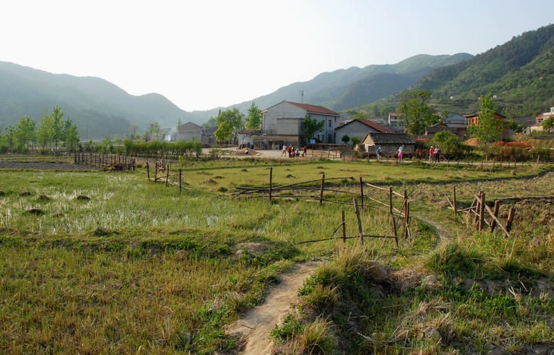 dsc_0172.jpg