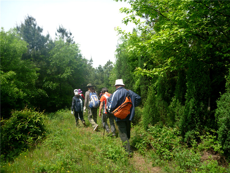 p1050747_.jpg