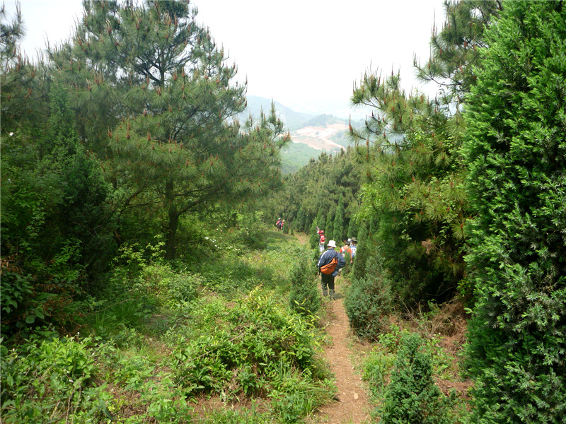 p1050746_.jpg