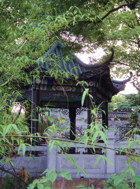 dsc08034.jpg