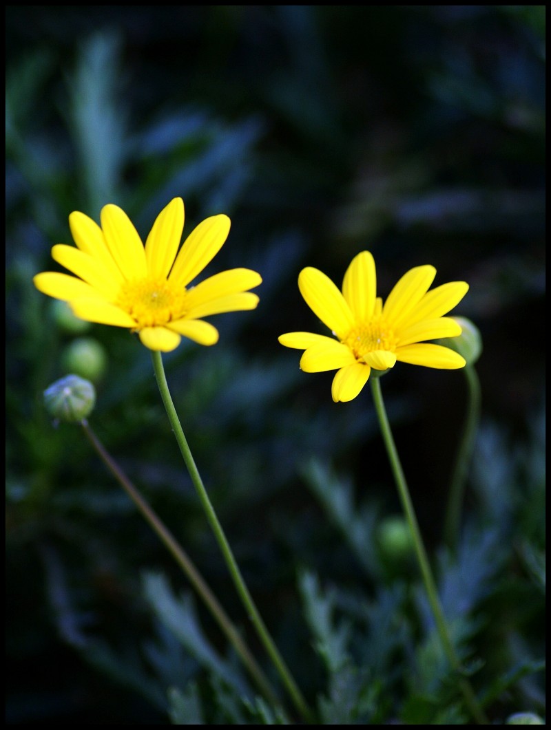 conew_427ڷҹн̲ 004_conew1.jpg