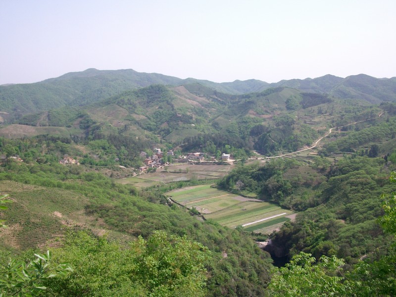 alim5701.jpg