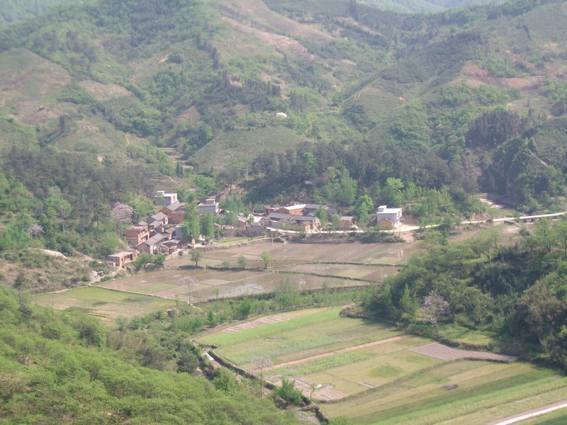 alim5702.jpg