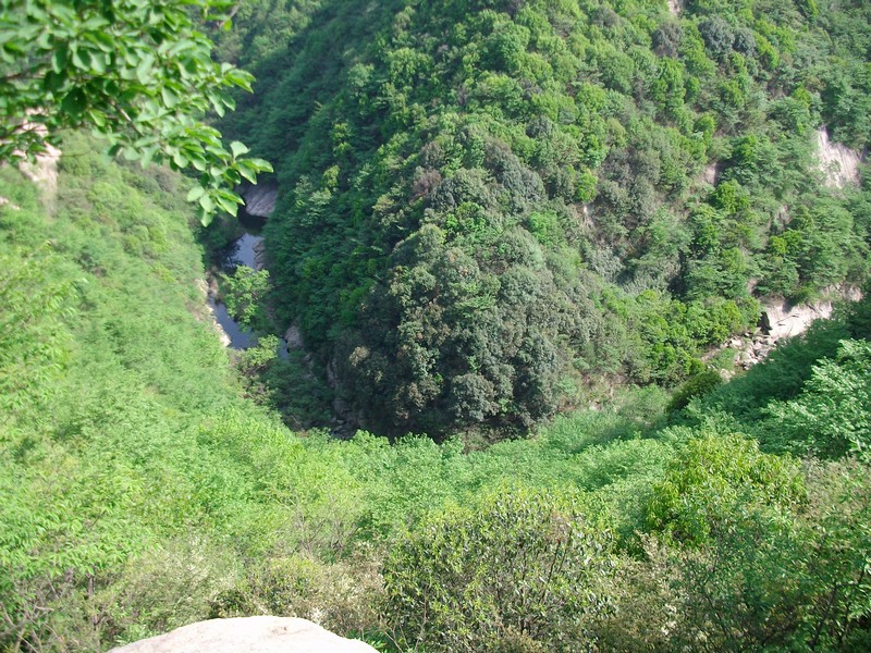 alim5704.jpg