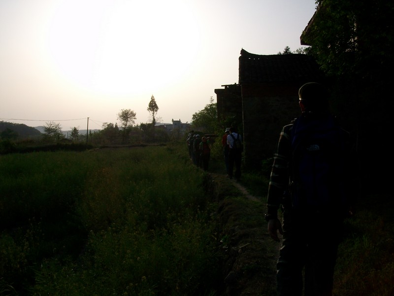 alim5739.jpg