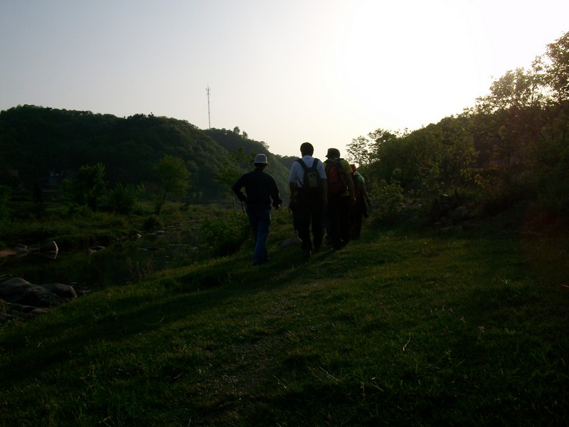 alim5736.jpg