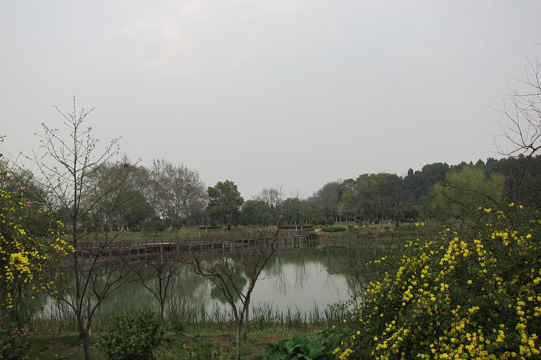 199-33.jpg