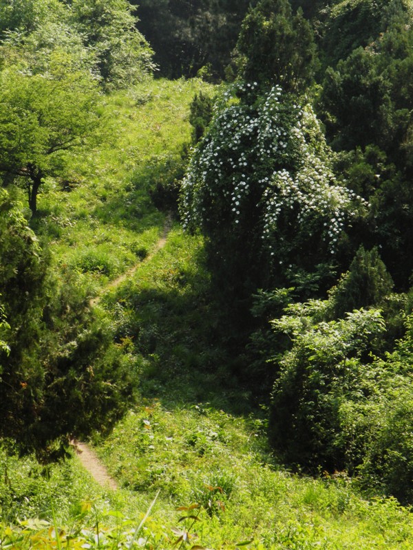 79.jpg