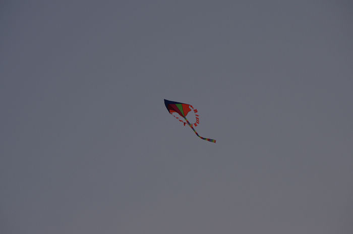 neo_img_imgp0015.jpg