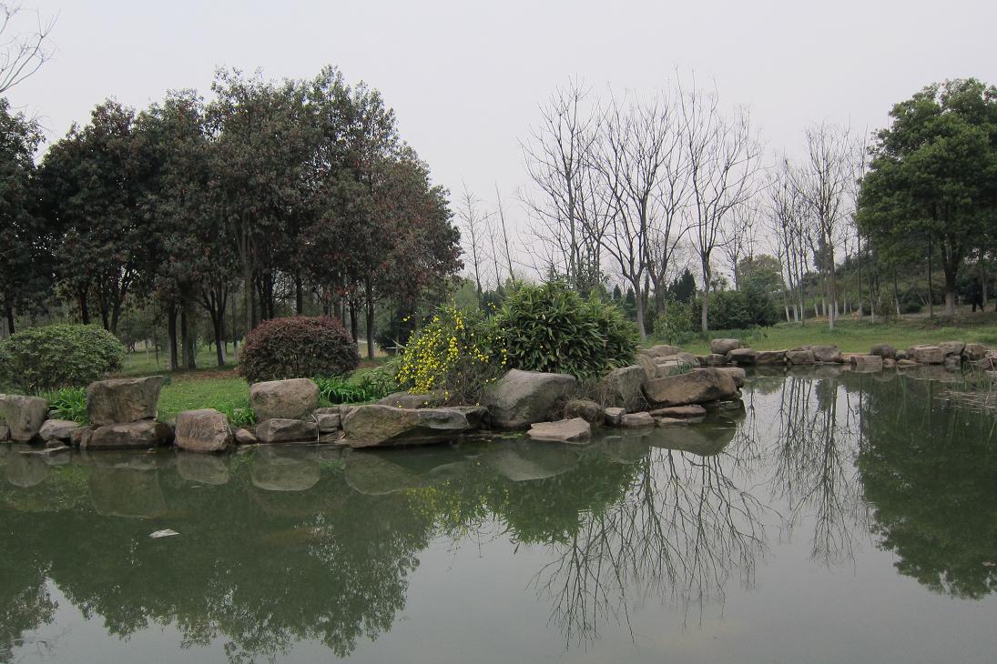 199-42.jpg