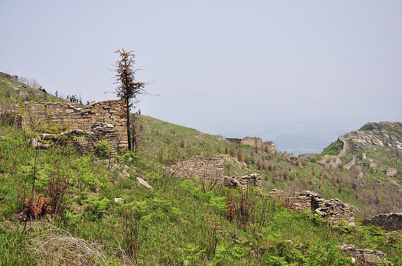 dsc_2309.jpg