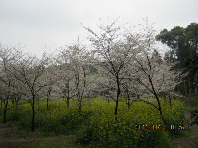 img_1862.jpg