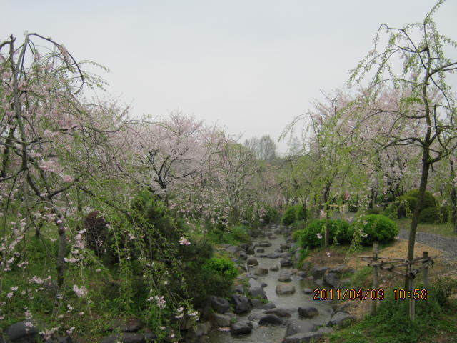 img_1865.jpg