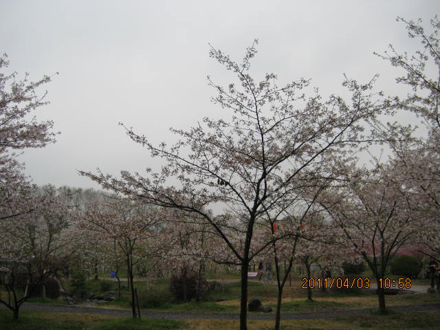 img_1864.jpg