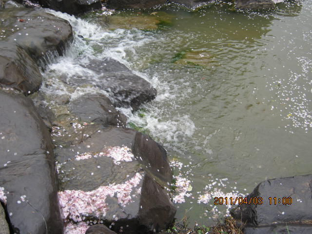 img_1869.jpg