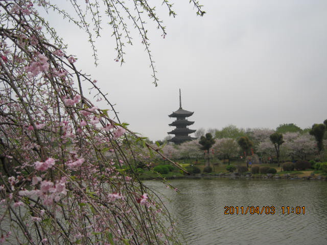 img_1871.jpg