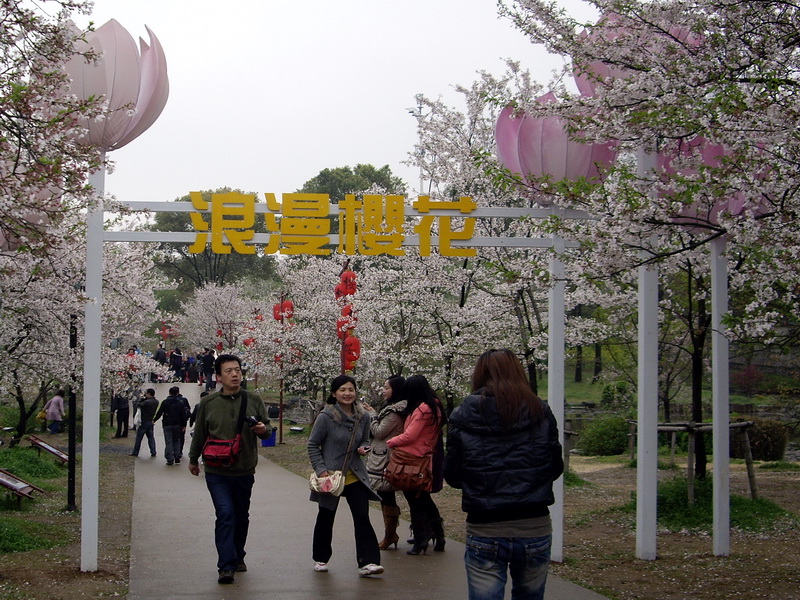 imgp4098.jpg