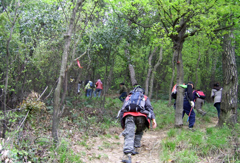 ssa40424.jpg