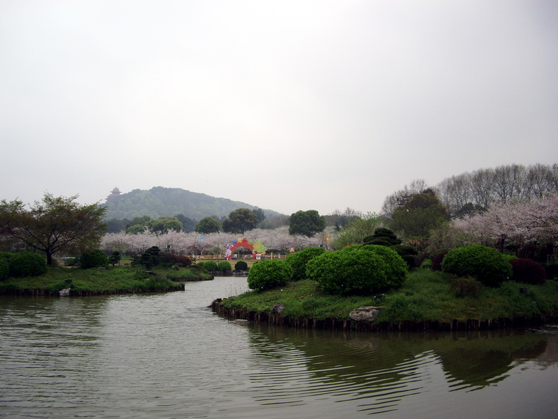 imgp4091.jpg