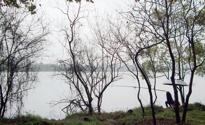 imgp4073.jpg