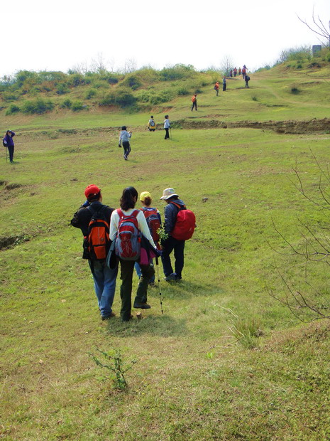 dsc06234.jpg