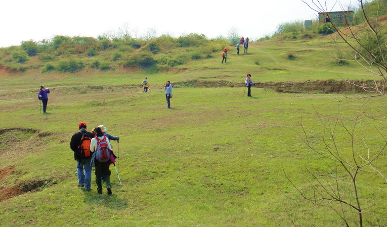 dsc06235.jpg
