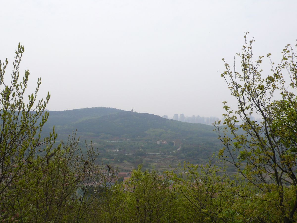 l1100189.jpg