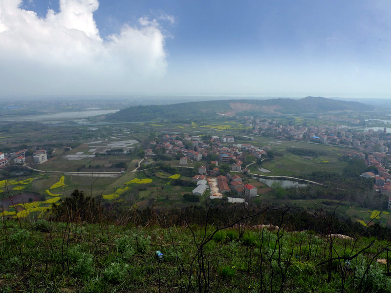 p1010875 .jpg