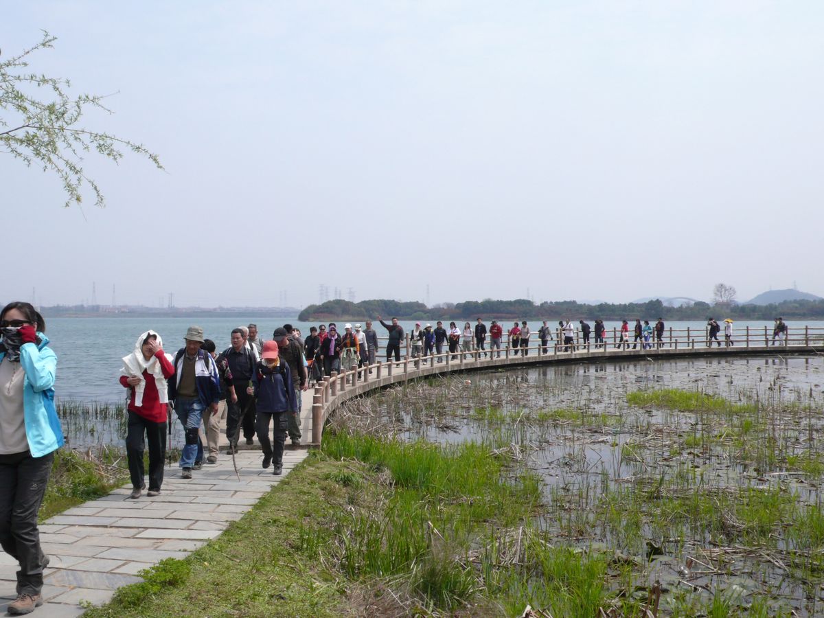 l1100214.jpg