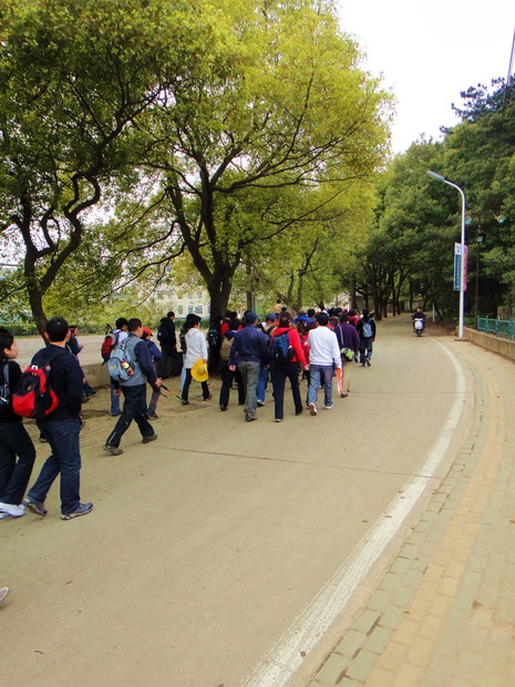dsc06315.jpg