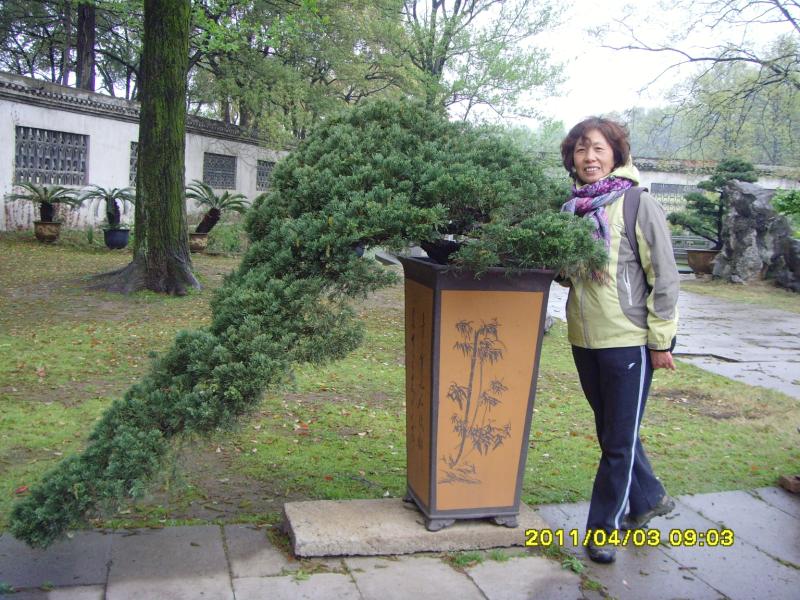 snv30009.jpg