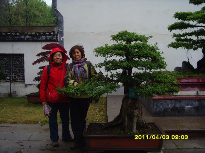 snv30008.jpg