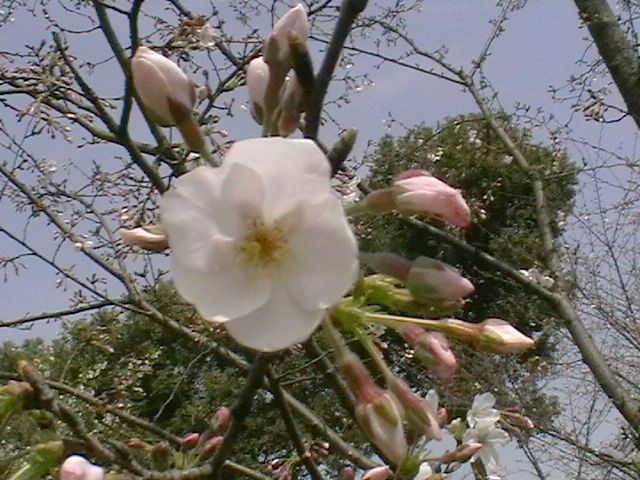 imga0782.jpg