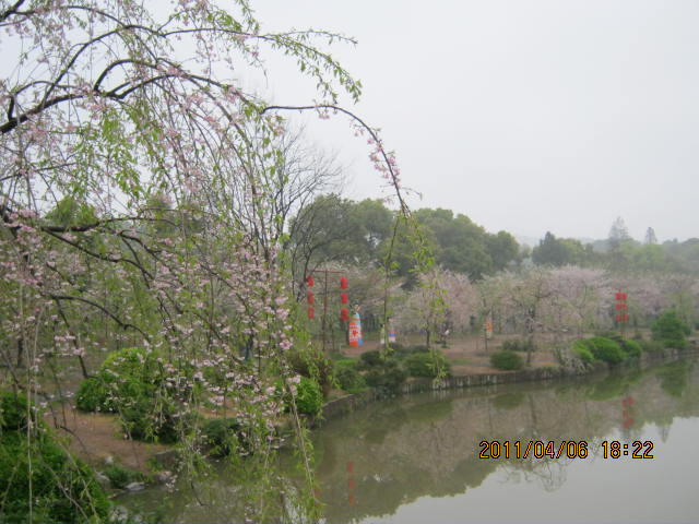 img_1931.jpg