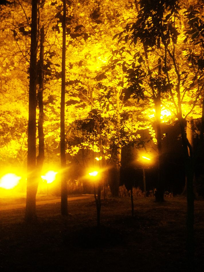 neo_img_dvc00021.jpg