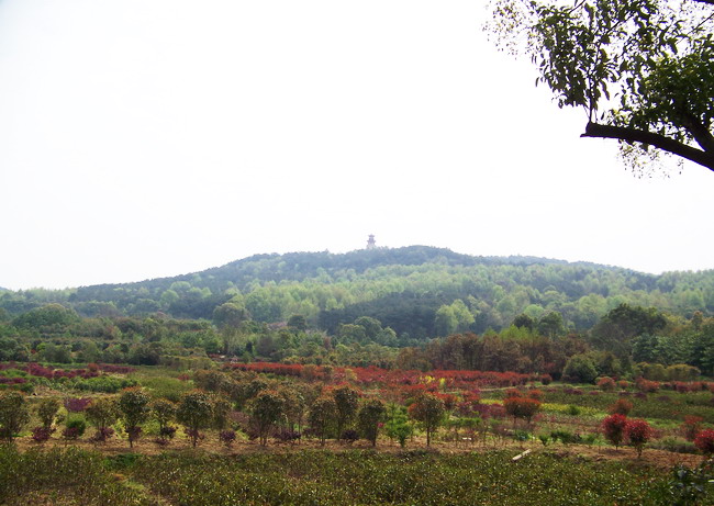 100_1069.jpg