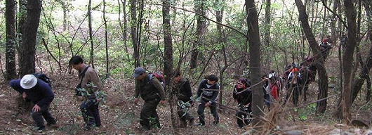 5.bmp