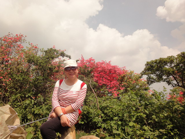 dsc03417.jpg