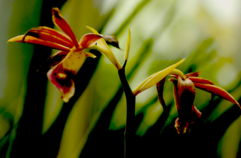 dsc_6222a.jpg