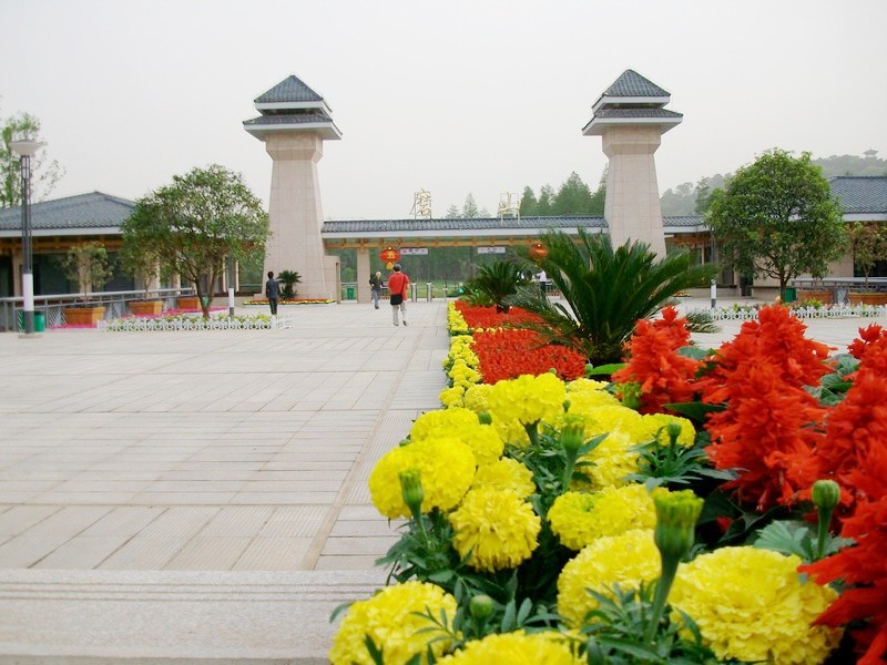alim5765.jpg