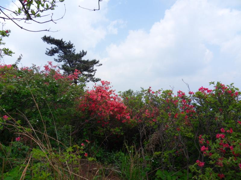 sdc10156.jpg