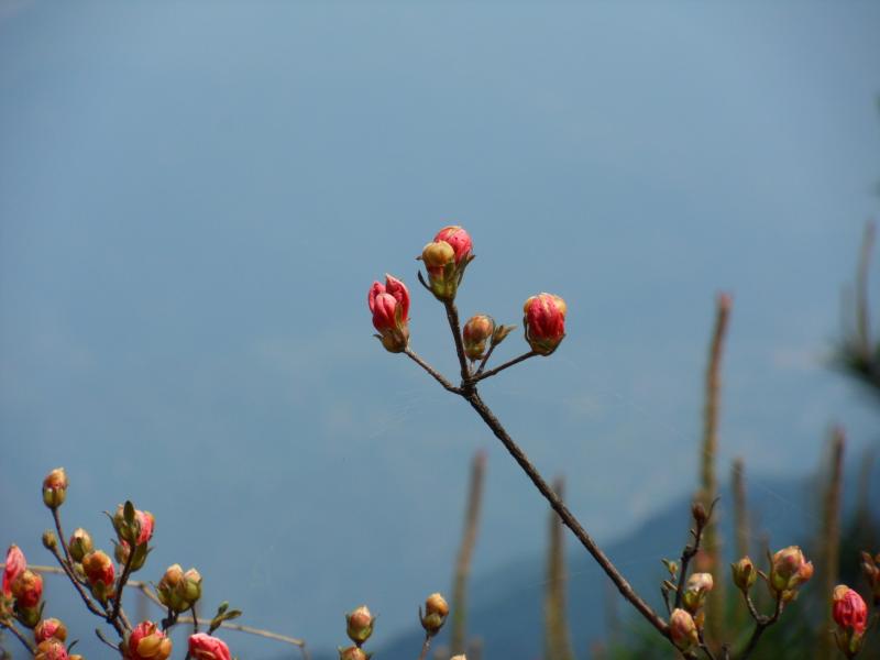 sdc10176.jpg