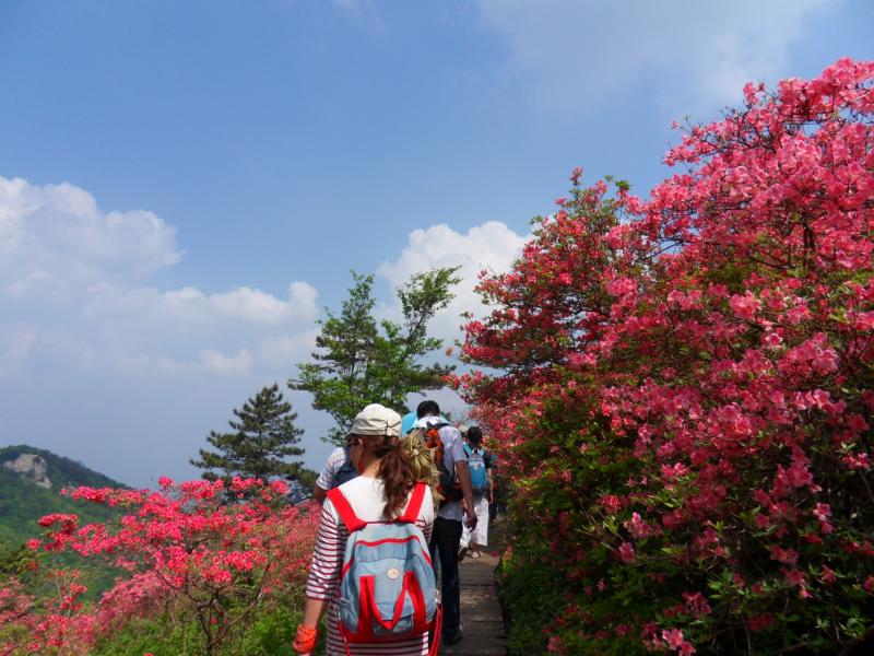 sdc10183.jpg