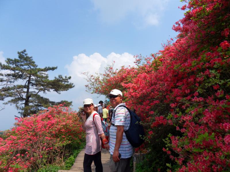 sdc10184.jpg
