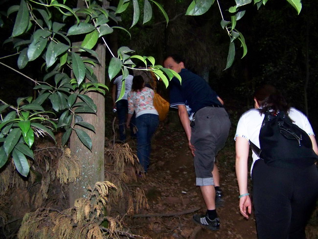 100_3252.jpg
