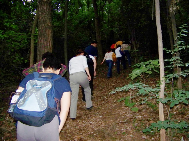 100_3254.jpg