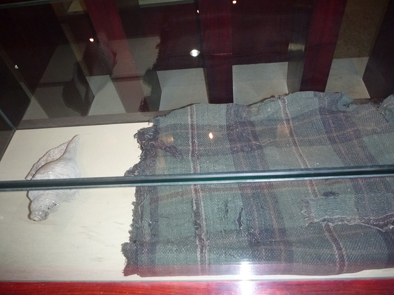 p1060146_.jpg